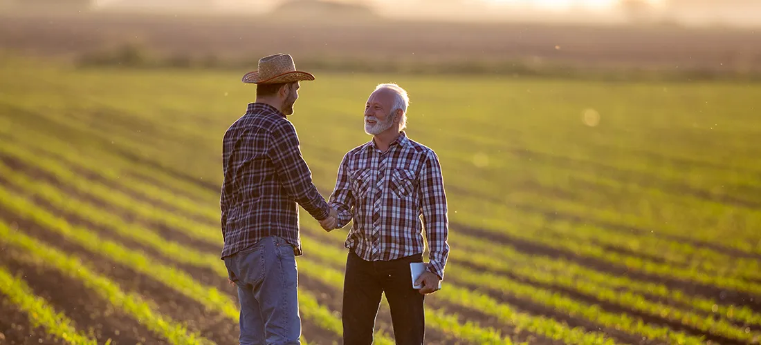 two farmers shaking hands on a corn field