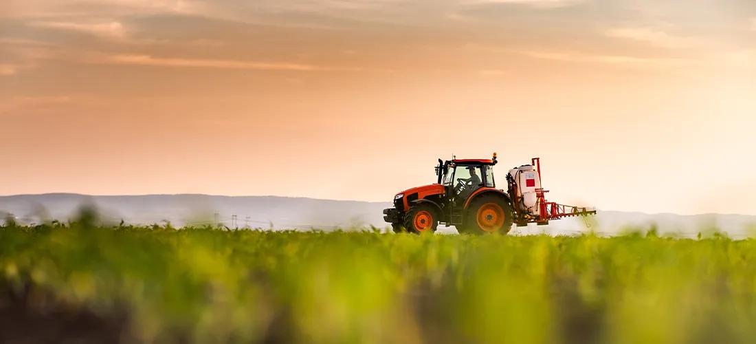 Tractor spraying pesticides on corn field with sprayer at spring