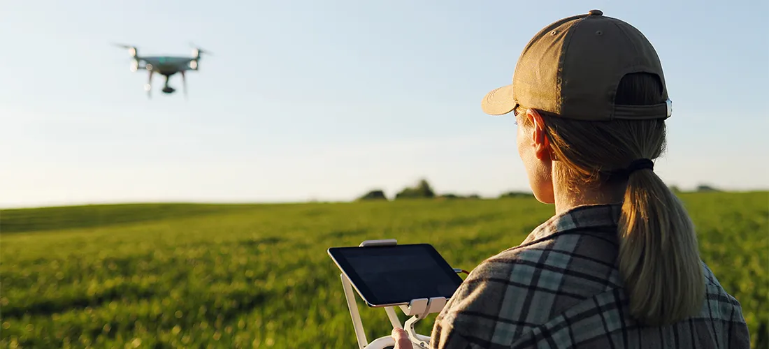 Close up of rear of Caucasian woman farmer in hat standing in green wheat field and controlling of drone which flying above margin.